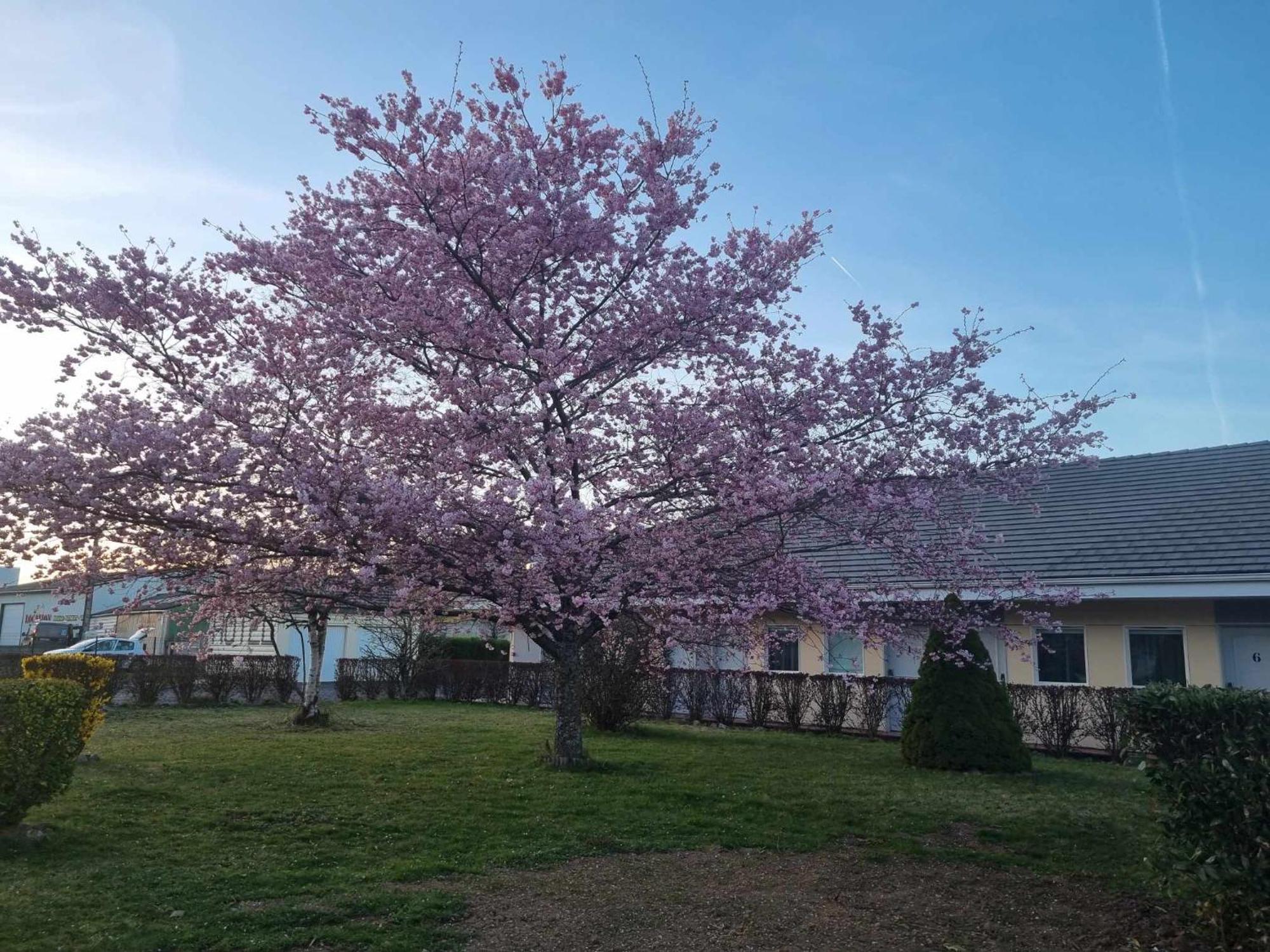 The Originals Access, Hotel Le Lutea Riom-es-Montagnes Exterior photo